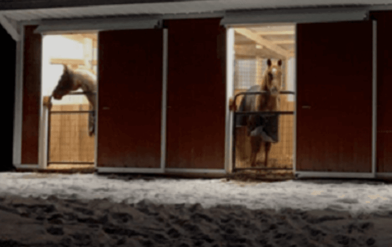 Carousel image